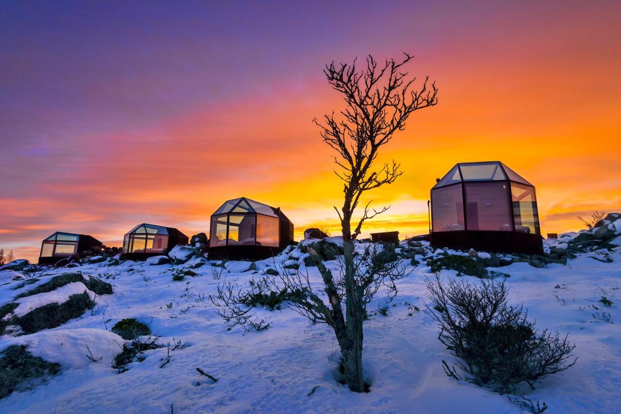 Kalle'S Inn Glass Houses Soderudden Exterior photo